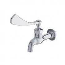 Vòi chậu tay gạt nước lạnh T23BQ13N