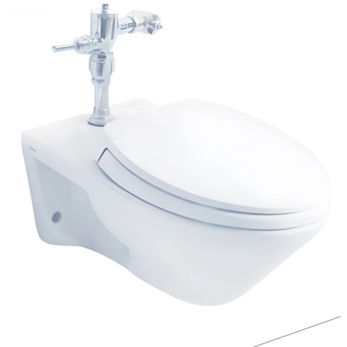 Bàn cầu treo tường ToTo CW550