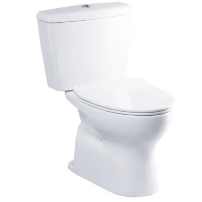 Bàn cầu hai khối nắp đóng êm ToTo CS300DT8Y1#W