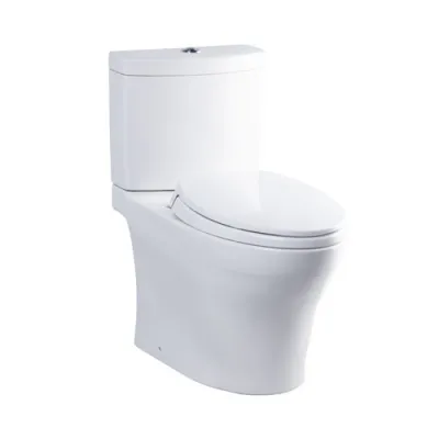 Bàn cầu hai khối nắp đóng êm CS769DRT2#XW