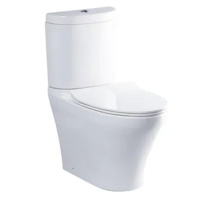Bàn cầu hai khối nắp đóng êm ToTo CS818DT8#XW