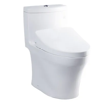 Bàn cầu một khối kèm nắp rửa điện tử TOTO MS889CDRW12
