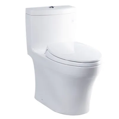 Bàn cầu một khối nắp đóng êm TOTO MS889DRT3