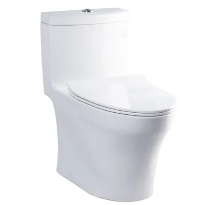 Bàn cầu một khối nắp đóng êm TOTO MS889DRT8