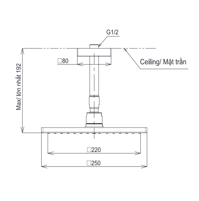 Bát sen gắn trần TOTO TBW08002A1